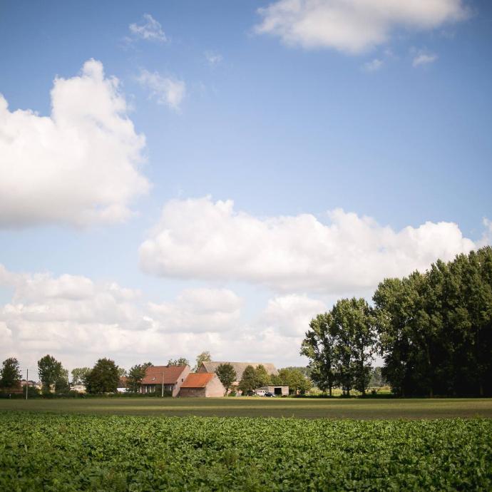 Ferme du Ruisseau Pottes, de locatie van de mederie