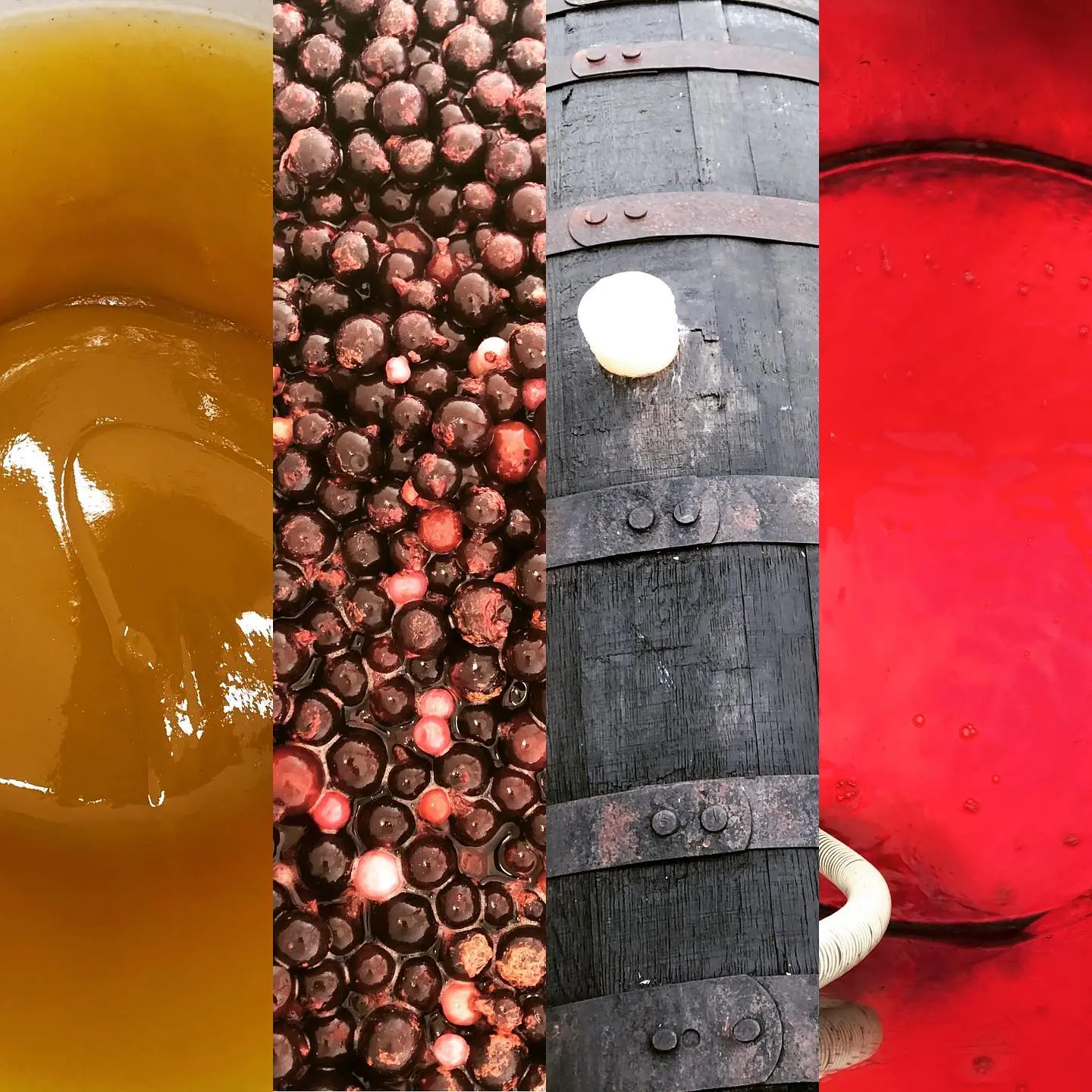 Honing, krieken, barrels, mede